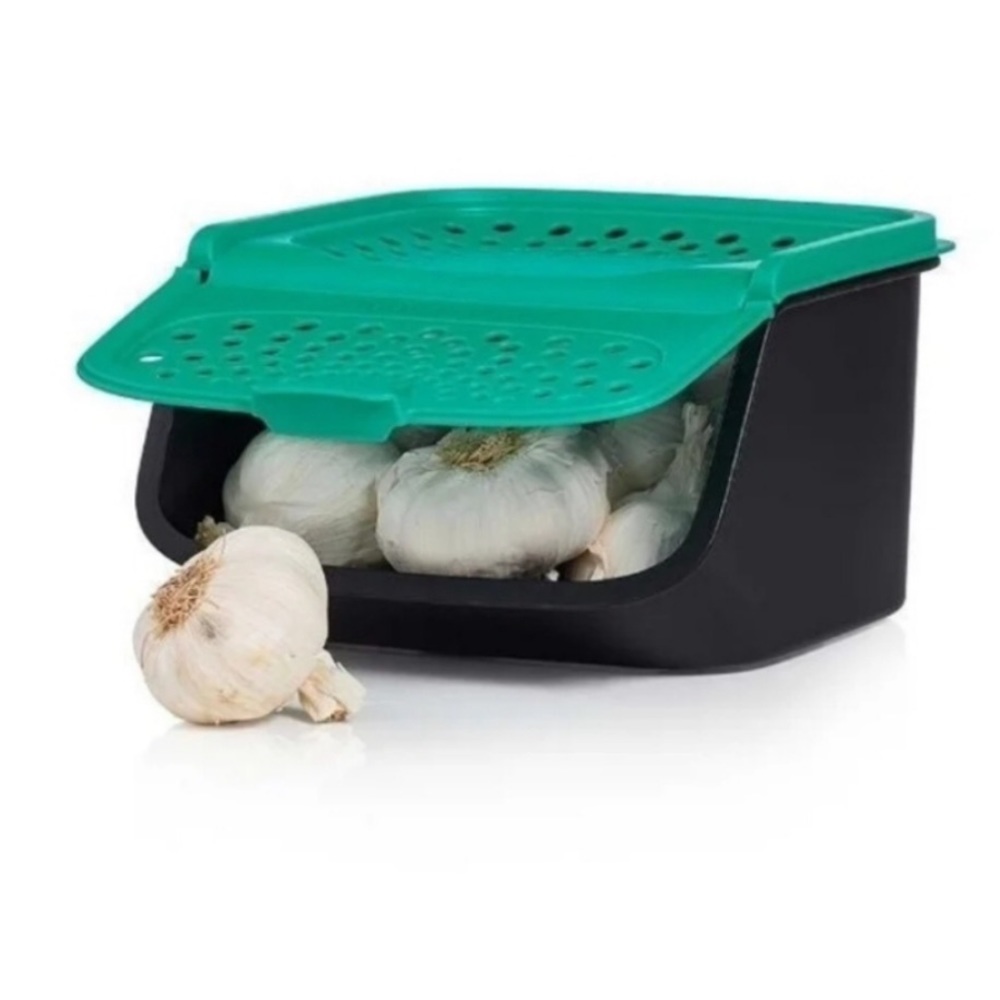 TUPPERWARE GARLIC KEEPER